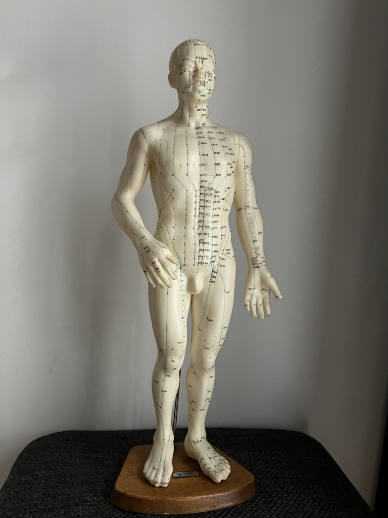 Mannequin d'acupuncture vintage